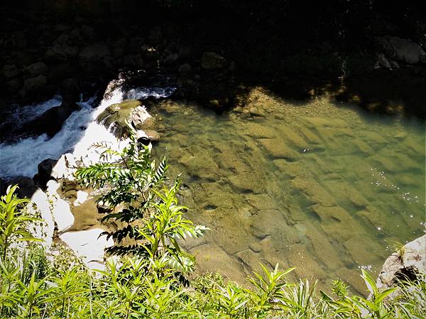 P_20180713_095547.jpg P_20180713_095547.jpg