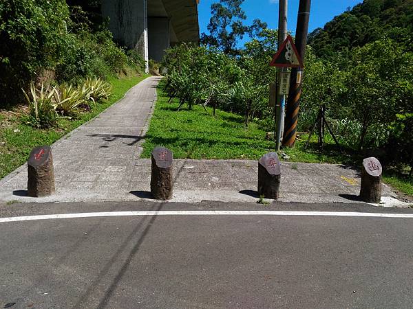 P_20180713_095044.jpg P_20180713_095044.jpg