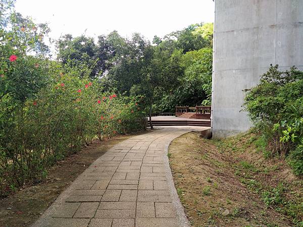 P_20180713_104552.jpg P_20180713_104552.jpg