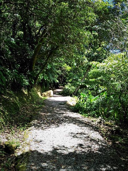 P_20180713_101302.jpg P_20180713_101302.jpg