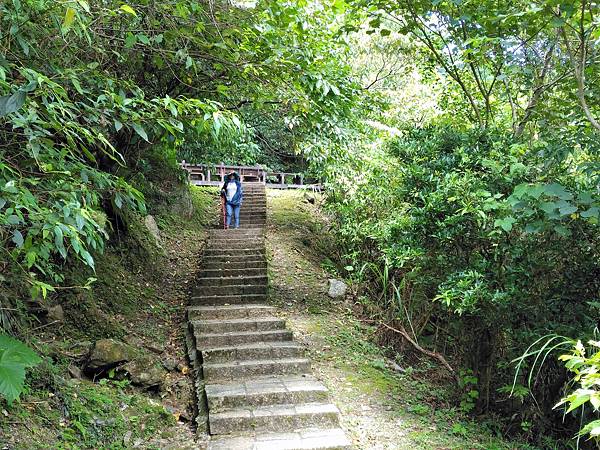 P_20180713_100909.jpg P_20180713_100909.jpg