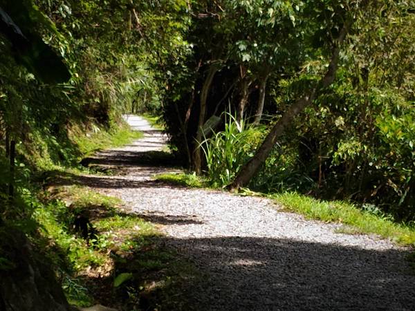 P_20180713_102947.jpg P_20180713_102947.jpg