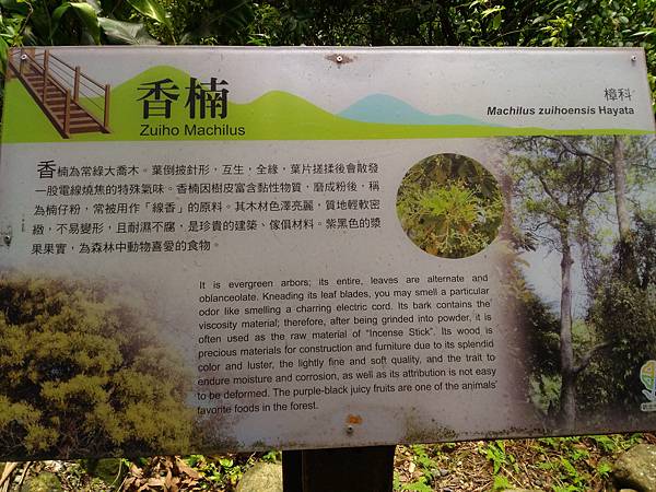 P_20180713_103236.jpg P_20180713_103236.jpg