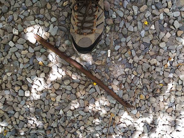 P_20180713_103721.jpg P_20180713_103721.jpg