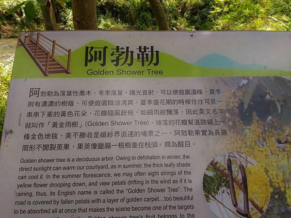 P_20180713_103728.jpg P_20180713_103728.jpg