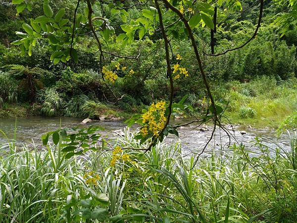 P_20180713_103801.jpg P_20180713_103801.jpg