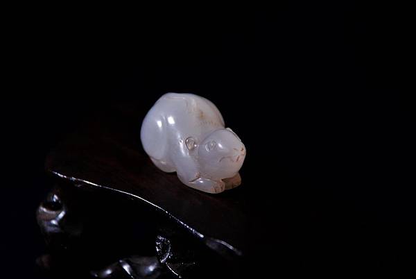 DSC_0156.JPG DSC_0156.JPG