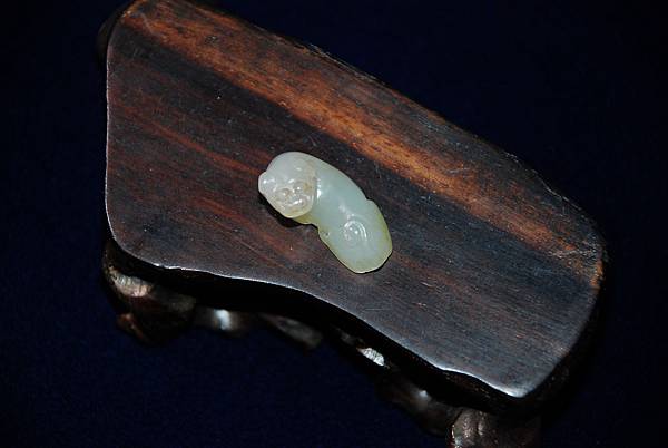 DSC_0137.JPG DSC_0137.JPG