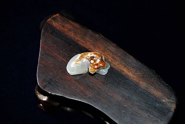 DSC_0150.JPG DSC_0150.JPG