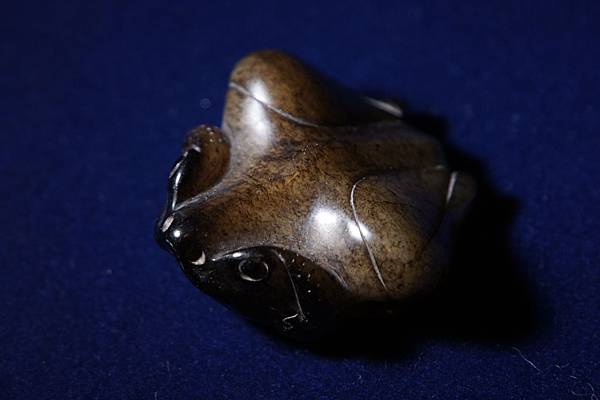 DSC05341.JPG DSC05341.JPG