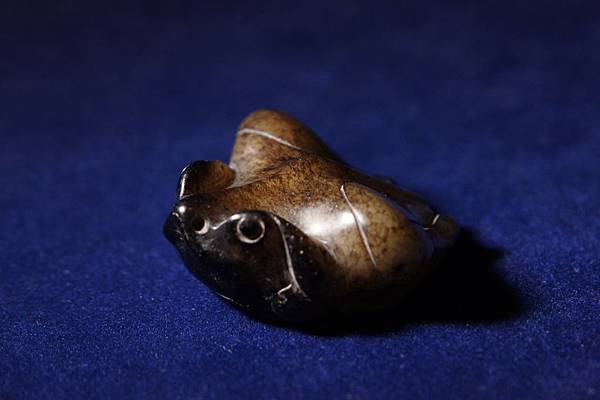 DSC05336.JPG DSC05336.JPG