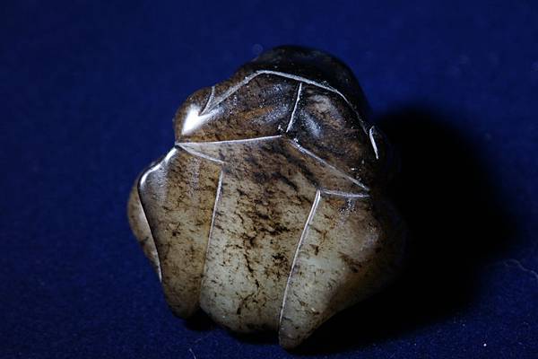 DSC05343.JPG DSC05343.JPG