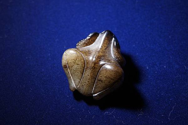 DSC05351.JPG DSC05351.JPG