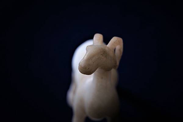 DSC05392.JPG DSC05392.JPG