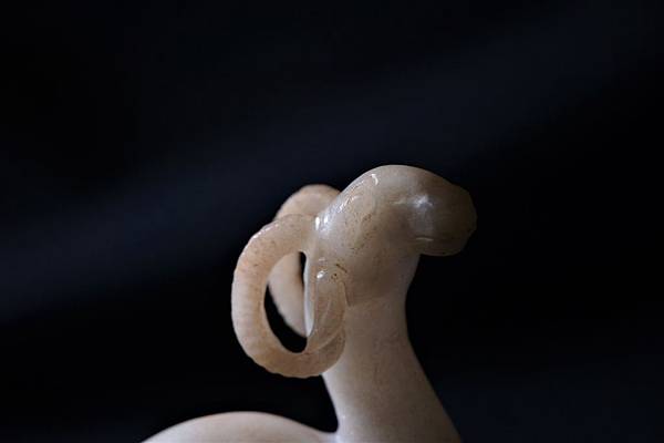 DSC05391.JPG DSC05391.JPG