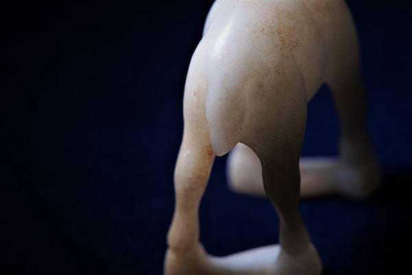 DSC05395.JPG DSC05395.JPG