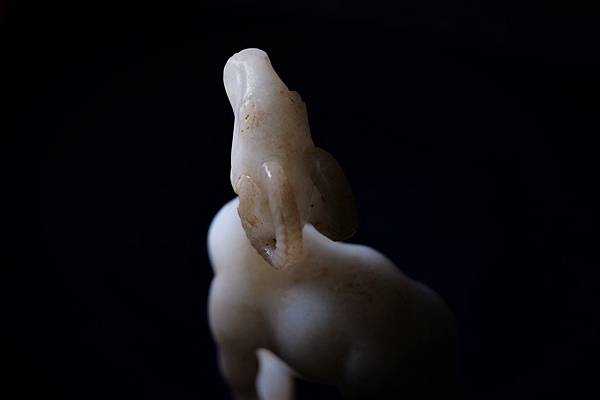 DSC05393.JPG DSC05393.JPG