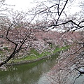 20090331 japan15.JPG