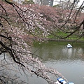 20090331 japan16.jpg