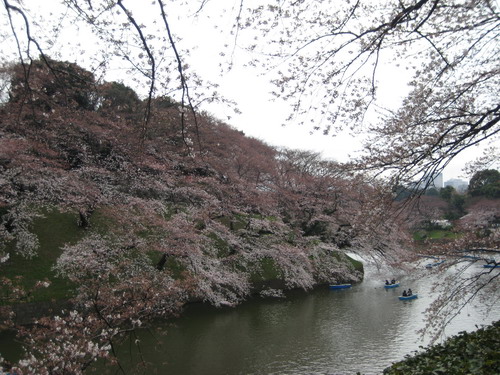 20090331 japan28.JPG