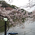 20090331 japan32.jpg