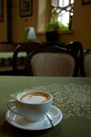 DSC_3931_1.jpg