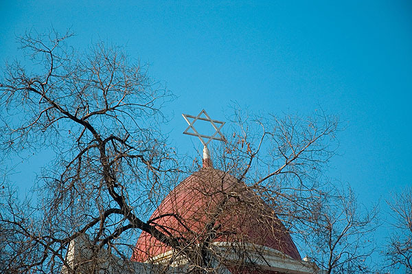 DSC_3947_1.jpg