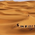 徒步庫姆塔克沙漠.jpg