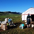 DSC_7997a.jpg