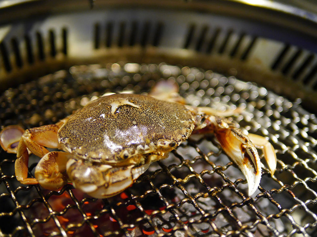 天外天精緻無煙燒肉_黃金蟹_205545.JPG 天外天精緻無煙燒肉_黃金蟹_205545.JPG