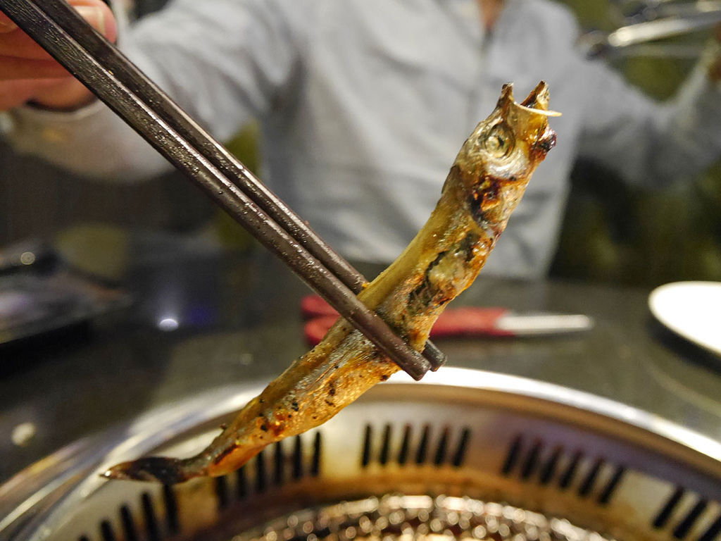 天外天精緻無煙燒肉_柳葉魚_215832.JPG 天外天精緻無煙燒肉_柳葉魚_215832.JPG