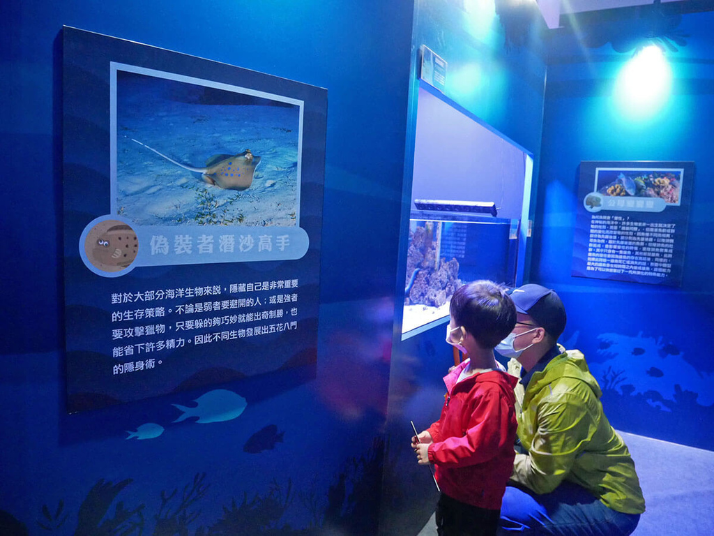 海科館趣味海洋生物特展_偽裝者潛沙高手_132417.JPG