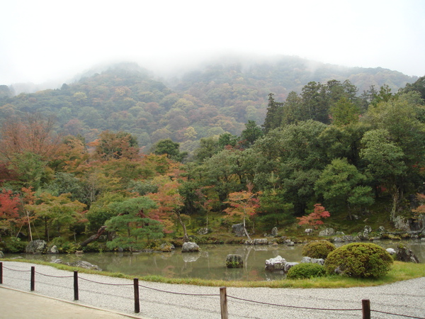 某一個寺院之類的庭園