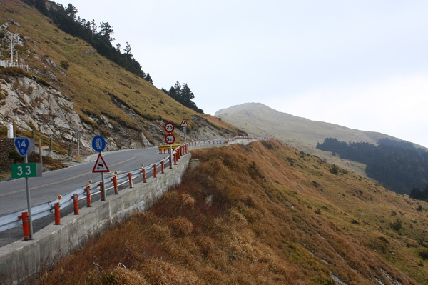 合歡山上的公路