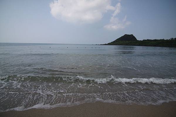 IMG_4316.JPG IMG_4316.JPG
