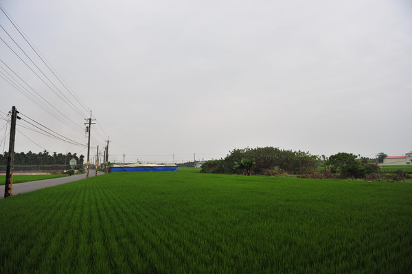 DSC_3742.JPG DSC_3742.JPG