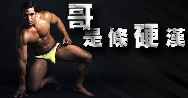 WHOLLY BAO活力寶男性壯陽保健食品