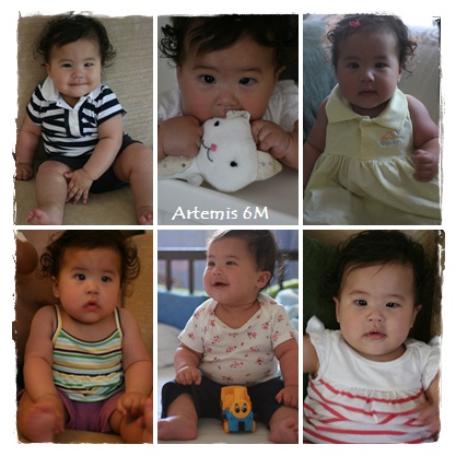 Artemis6M-1.jpg Artemis6M-1.jpg