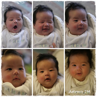 Artemis 2M.jpg Artemis 2M.jpg