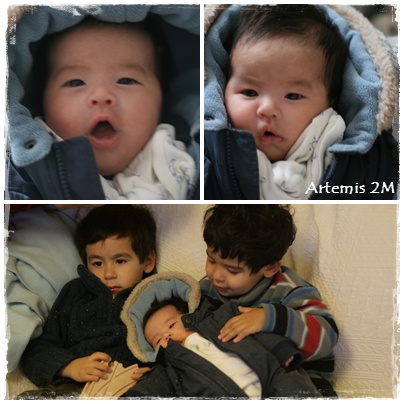 Artemis 2M-1.jpg Artemis 2M-1.jpg