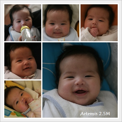 Artemis 2M-3.jpg Artemis 2M-3.jpg