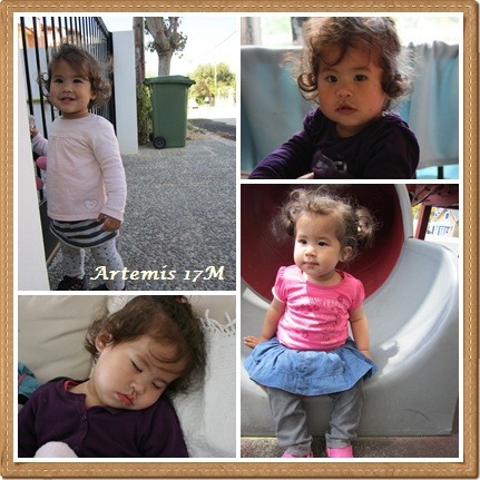 Artemis17M.jpg Artemis17M.jpg
