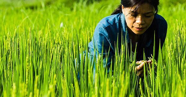 太陽的孩子 太陽的孩子