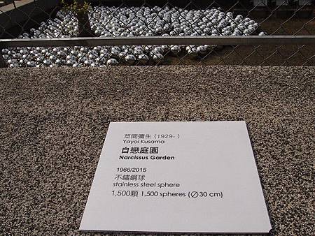 P3078805 P3078805