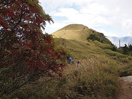 PA244694 PA244694