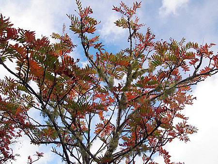 PA244747 PA244747
