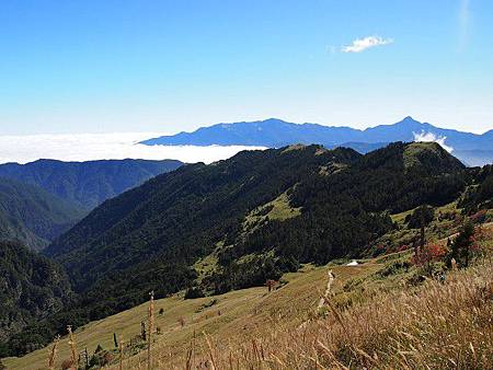 PA254965 PA254965