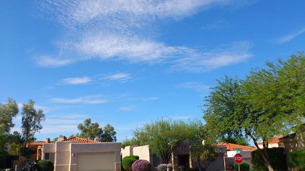 DSC_1102.jpg