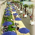 巴黎海灘Paris plage
