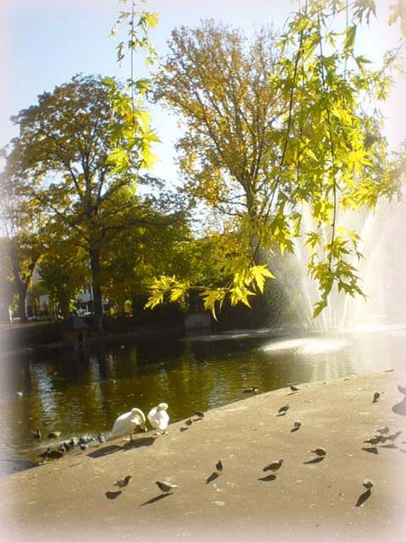 Le Coq公園，天鵝湖旁的絕美秋色